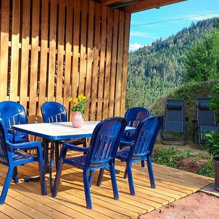 Ferienwohnung Holiswald Oppenau Dış mekan fotoğraf