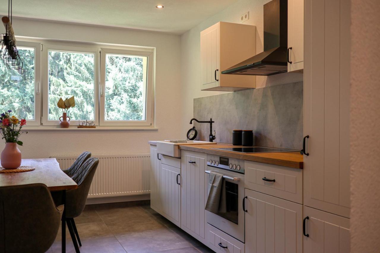 Ferienwohnung Holiswald Oppenau Dış mekan fotoğraf