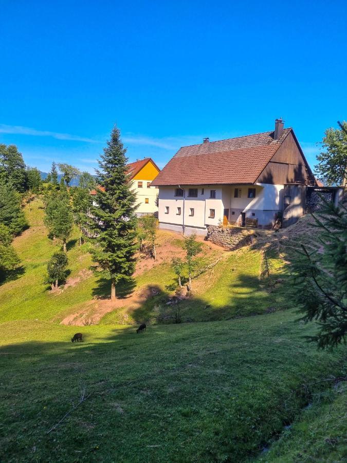 Ferienwohnung Holiswald Oppenau Dış mekan fotoğraf